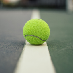 Fédération Congolaise de Padel